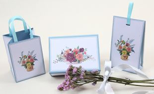 产品包装设计利用插画元素有什么特点呢?-----樱美包装