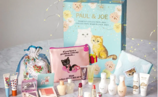 以猫咪为IP形象的日本品牌的圣诞倒计时彩妆礼盒-樱美包装