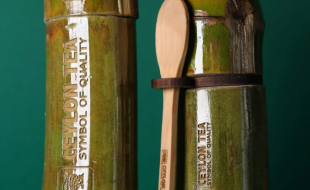 国外竹子有关的环保茶叶包装盒设计-樱美包装