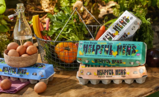 这款土鸡蛋的品牌和产品包装盒设计概念很另类-樱美包装