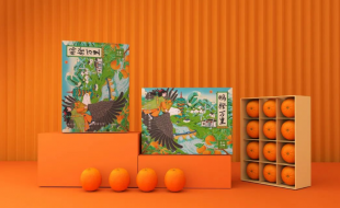 “鹏程万里”的国风插画手法的脐橙特产礼盒-樱美包装