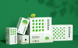 农场插图设计的阳光青提水果特产礼盒-樱美包装
