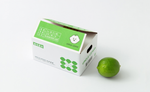 柠檬青色渲染的柠檬水果特产礼盒包装-樱美包装