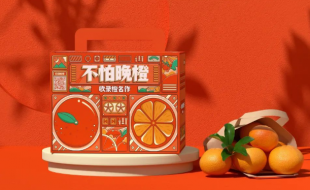 高颜值的橙色调的橙子特产礼盒-樱美包装